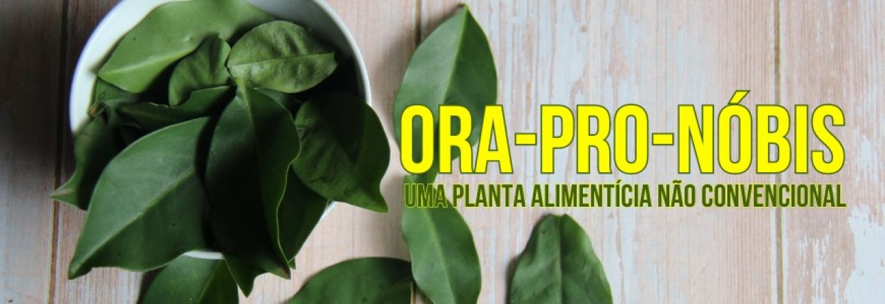 Ora-pro-nóbis: Uma Planta Alimentícia Não Convencional