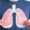 A ozonioterapia representa uma ferramenta terapêutica complementar extremamente promissora no manejo das doenças respiratórias.